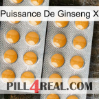 Ginseng Power X levitra2